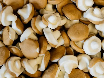 A pile of fresh brown mushrooms closely packed together.